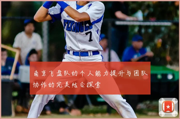 南京飞盘队的个人能力提升与团队协作的完美结合探索