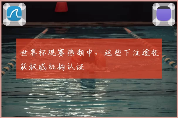 世界杯观赛热潮中，这些下注途径获权威机构认证