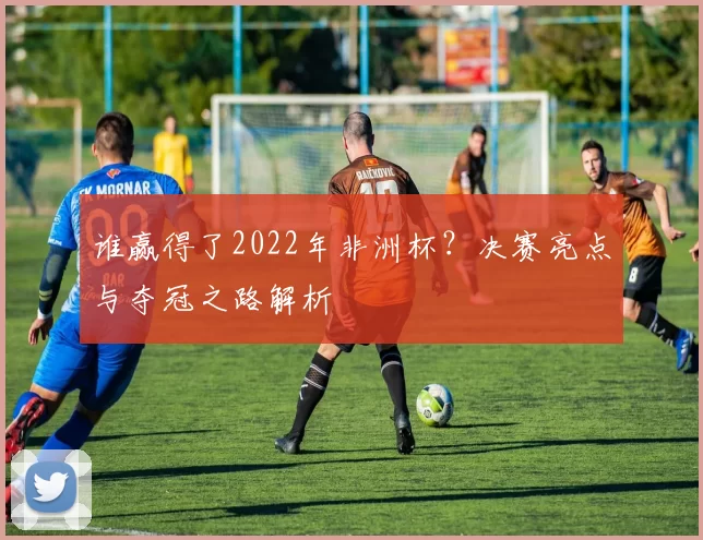 谁赢得了2022年非洲杯？决赛亮点与夺冠之路解析