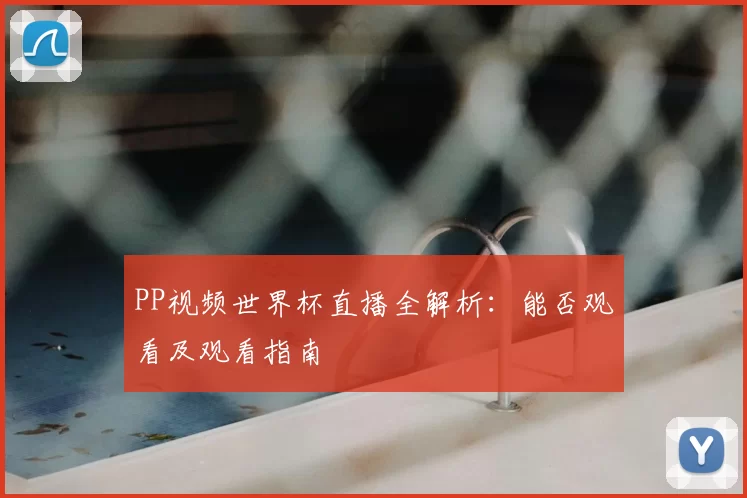 PP视频世界杯直播全解析：能否观看及观看指南