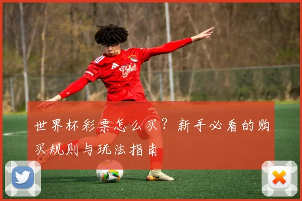 世界杯彩票怎么买？新手必看的购买规则与玩法指南