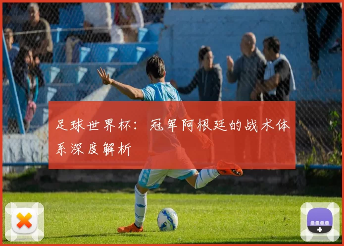 足球世界杯：冠军阿根廷的战术体系深度解析