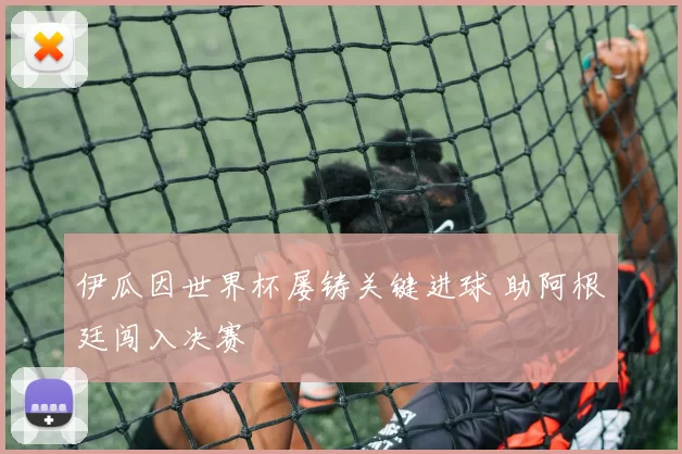 伊瓜因世界杯屡铸关键进球 助阿根廷闯入决赛