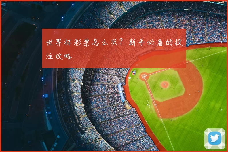 世界杯彩票怎么买？新手必看的投注攻略