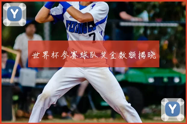 世界杯参赛球队奖金数额揭晓