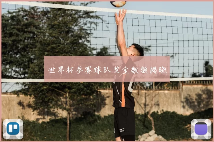 世界杯参赛球队奖金数额揭晓