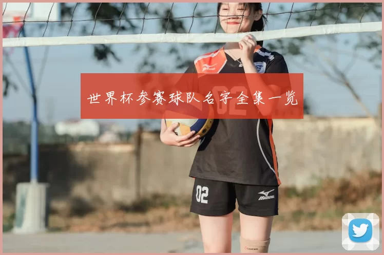 世界杯参赛球队名字全集一览