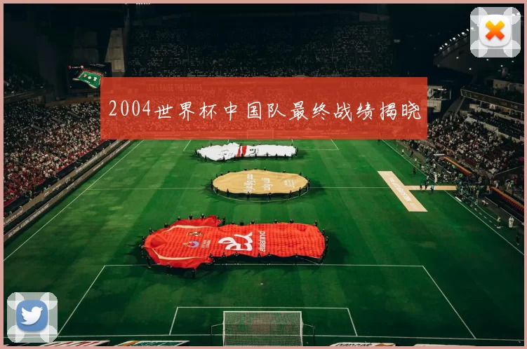 2004世界杯中国队最终战绩揭晓