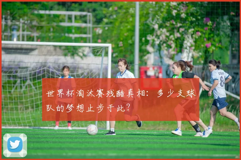 世界杯淘汰赛残酷真相：多少支球队的梦想止步于此？