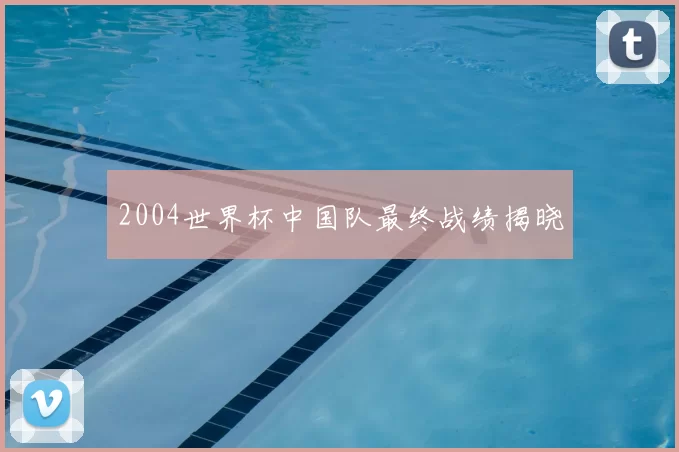 2004世界杯中国队最终战绩揭晓