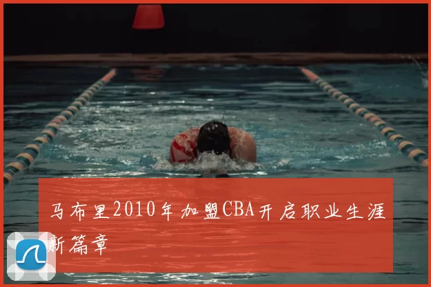 马布里2010年加盟CBA开启职业生涯新篇章