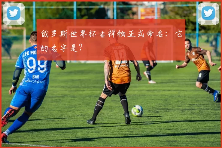 俄罗斯世界杯吉祥物正式命名:它的名字是?