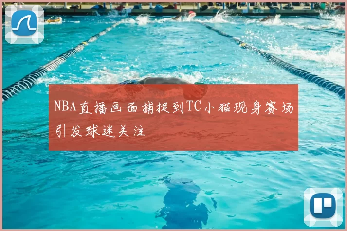 NBA直播画面捕捉到TC小猫现身赛场引发球迷关注
