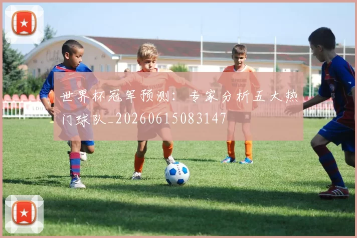 世界杯冠军预测:专家分析五大热门球队_20260615083147
